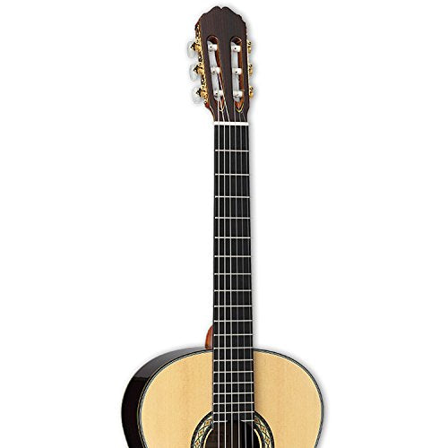 Takamine H8SS Classical Nylon String Acoustic Guitar w/Hard Case