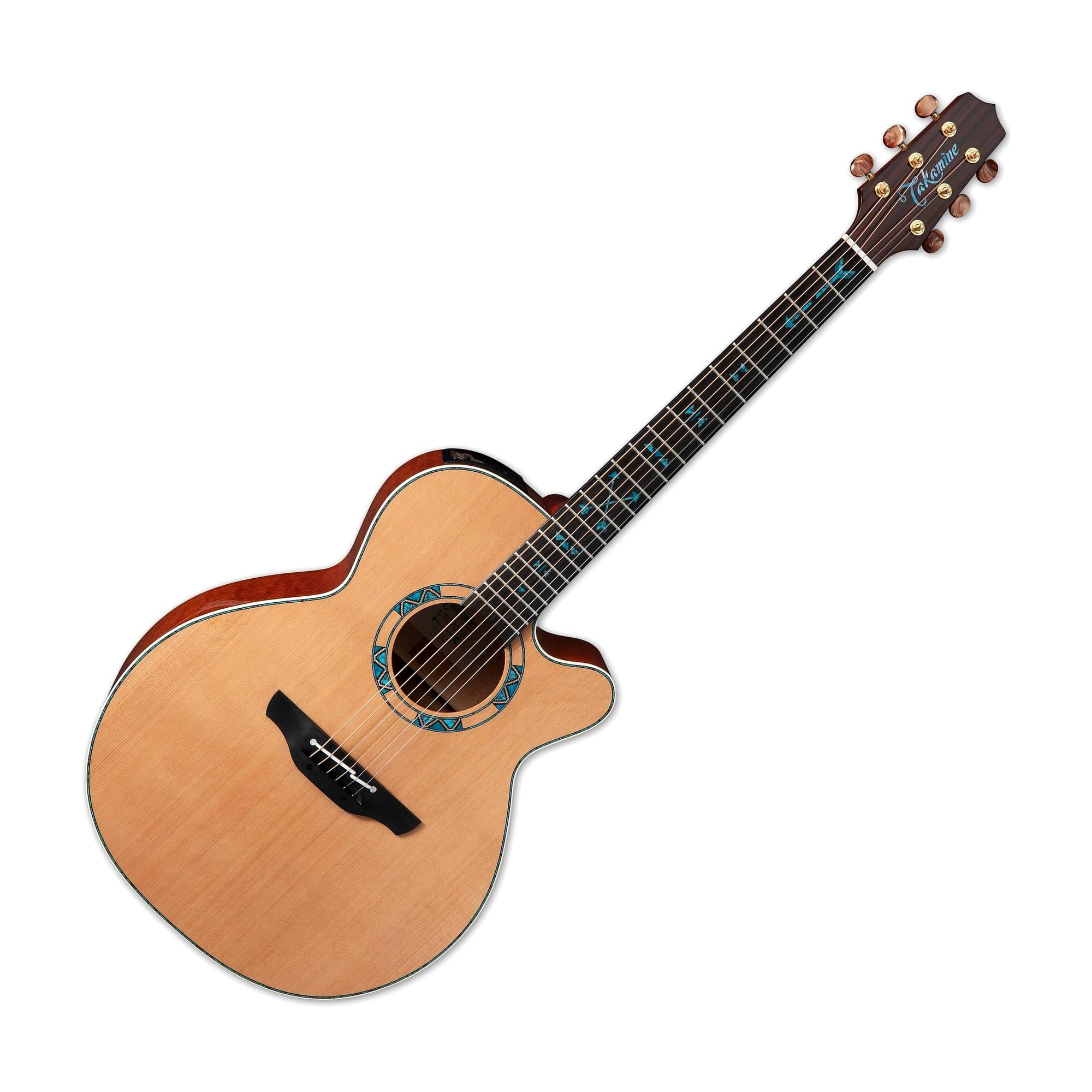 国産品 TAKAMINE NO.6 セミハードケース付き ナイロンギター ギター