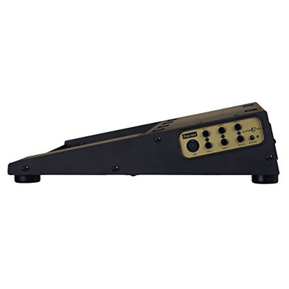 Friedman Tour Pro 1530 Gold Pack 15" x 30" Pedal Board with Riser, Professional Carrying Bag, and Buffer Bay 6