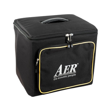 AER Amp-One 200 Watt 1x10" Bass Combo Amplifier