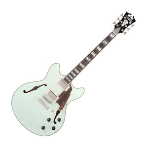 D'Angelico DADDCSAGESNS Deluxe DC Limited Edition Semi-hollowbody Electric Guitar, Sage
