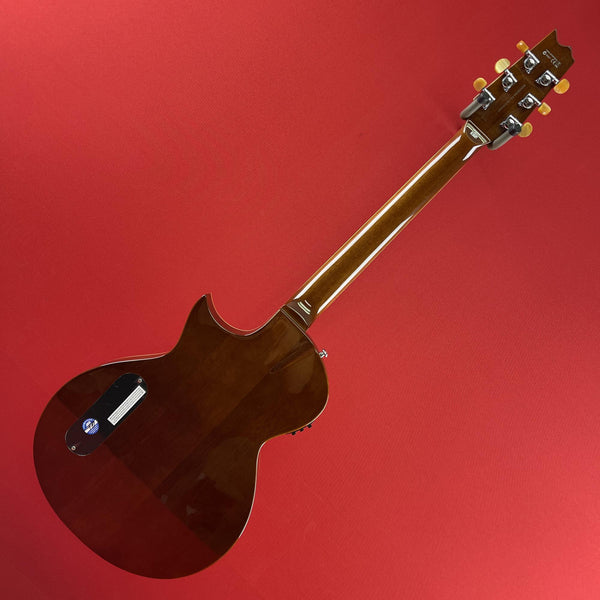 [USED] ESP LTD TL-6 Thinline Acoustic/Electric Guitar, Natural