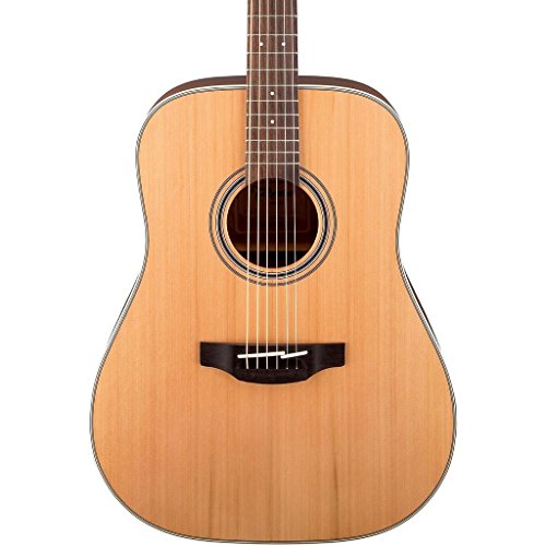 Takamine GD20 Dreadnought Acoustic Guitar Natural