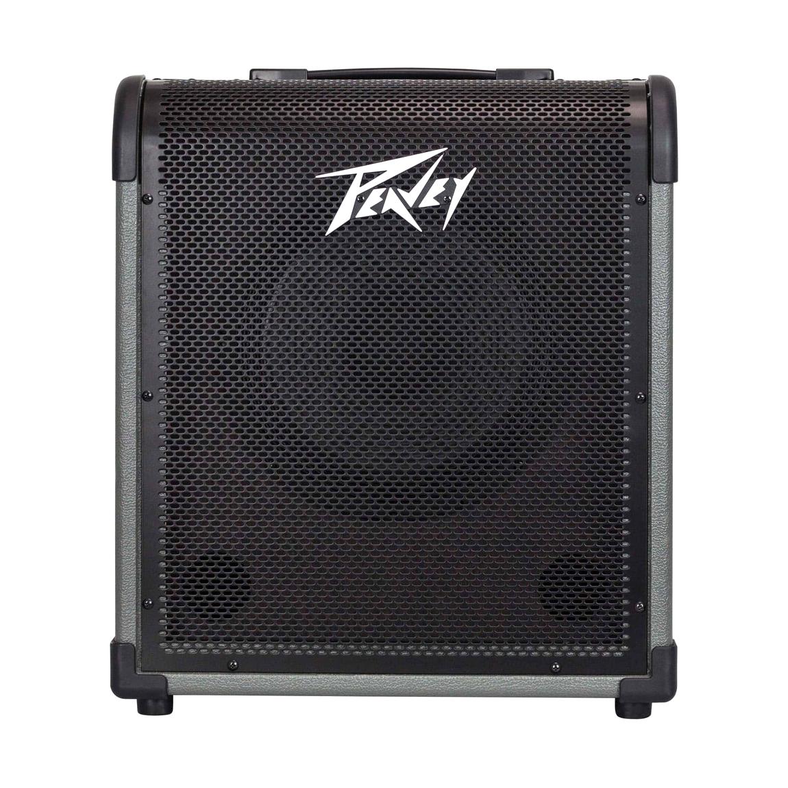 Peavey MAX 100 100-Watt Bass Amp Combo