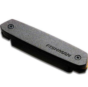 Fishman Neo-D